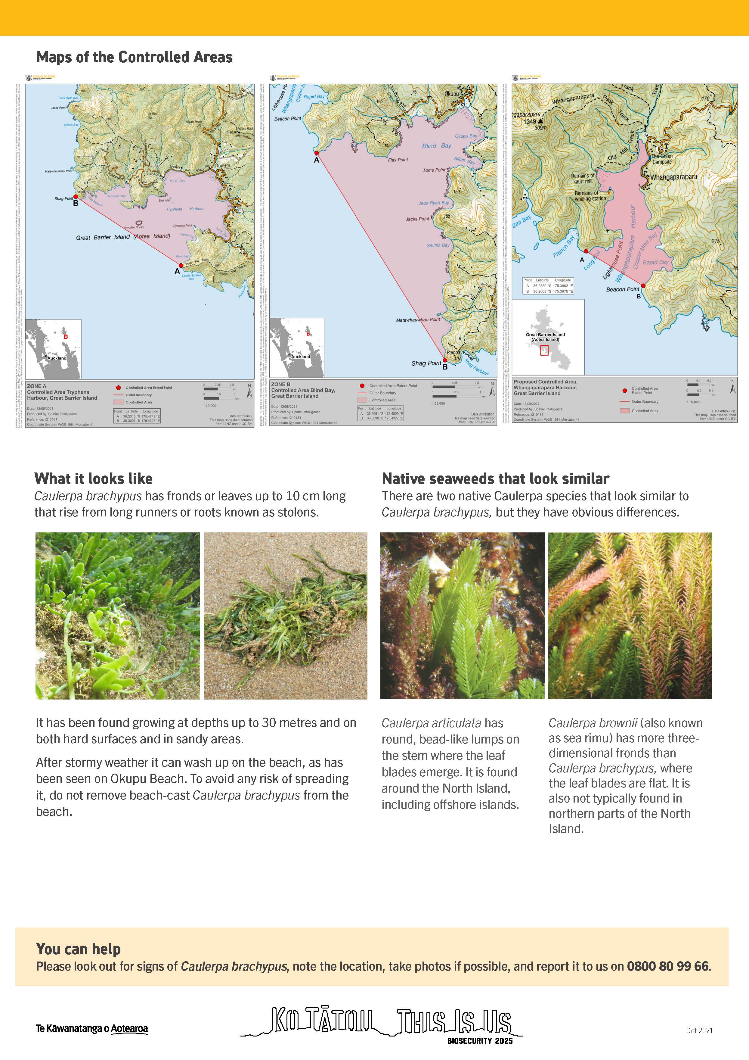47623 BNZ Caulerpa Brachypus CAN A C Aotea Oct 2021 V2 Page 2 (1)