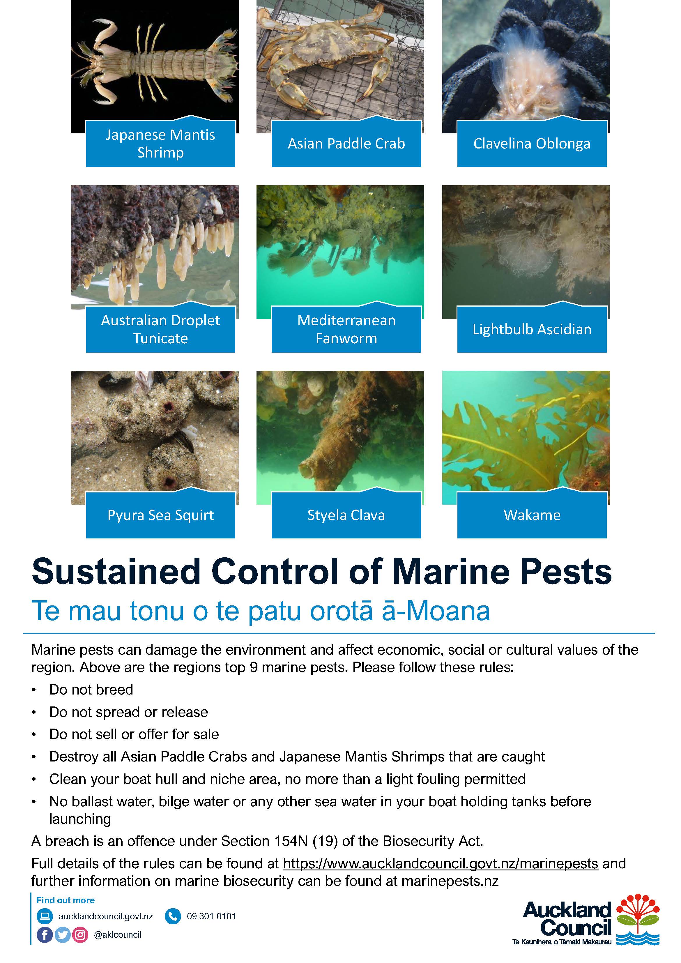 Marine RPMP Rules Summary 2021.Pdf