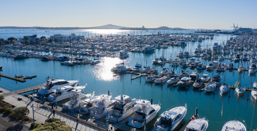Westhaven Drone High 0395