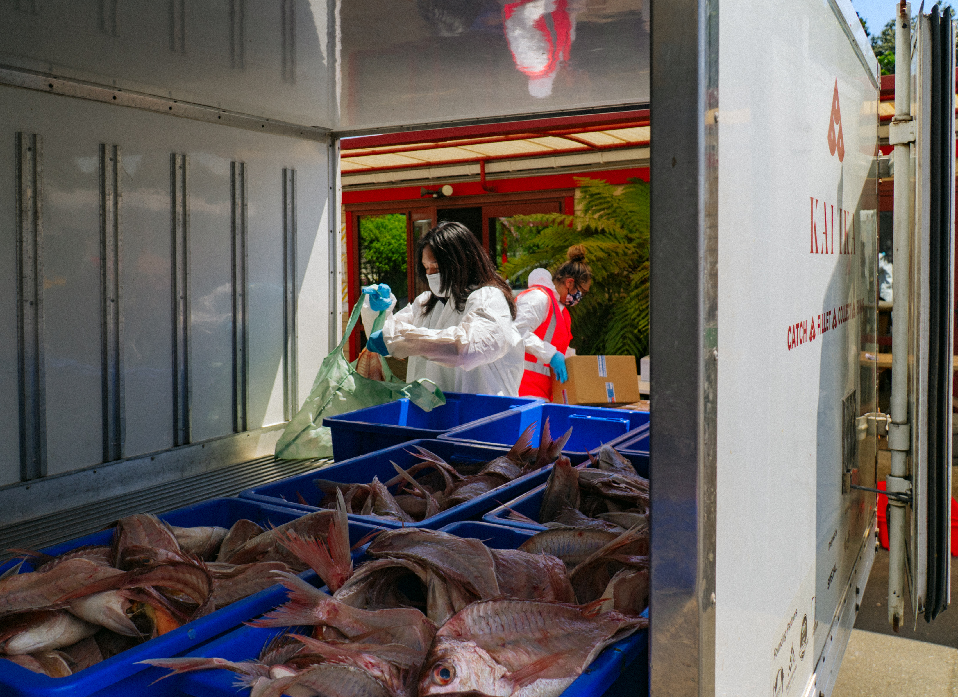 KAI IKA ISLAND MAG 010