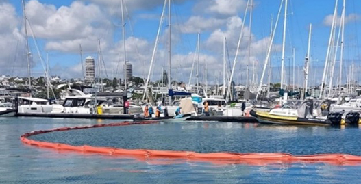 Westhaven News Summer edition 2024 Eke Panuku