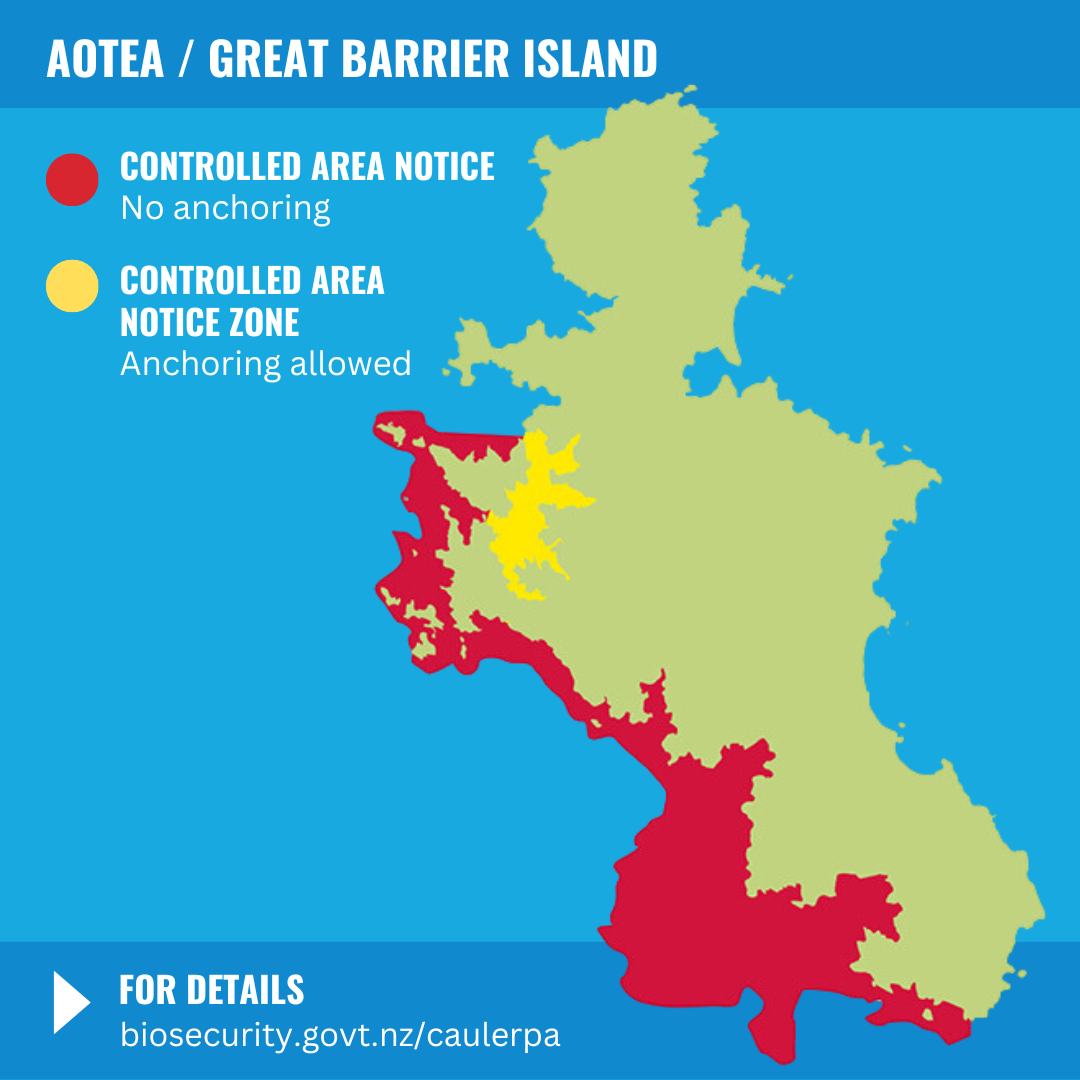 Great Barrier Island