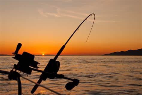 Fishing