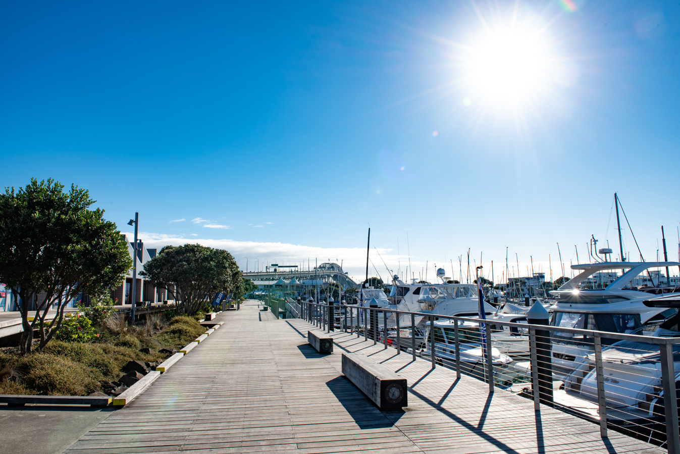 Westhaven 2021 9693
